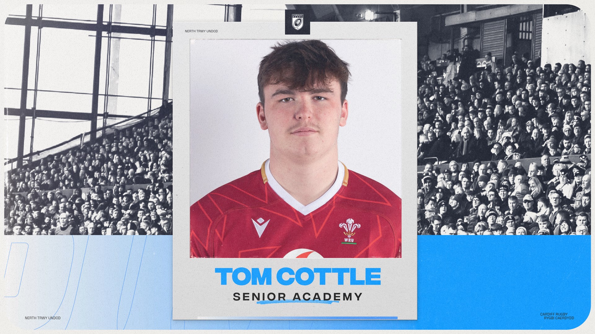 Tom Cottle